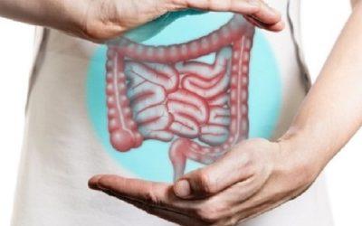 Men who eat plant-based are less likely to develop bowel cancer