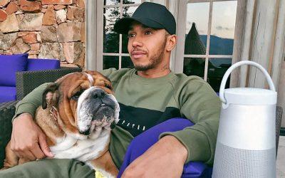 Lewis Hamilton and his dog to star in ad for the Zapp delivery app