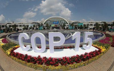 Experts call out fake solutions at COP15 Biodiversity Summit