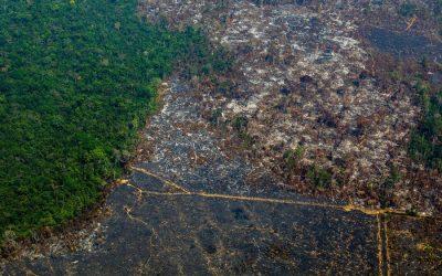 More than one third of the Amazon degraded due to human activity