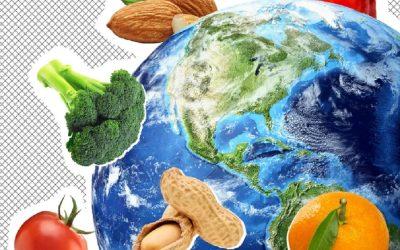 Ditch the keto and paleo diets and go vegan for your health and the planet
