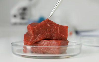 What is lab-grown meat and how is it made?