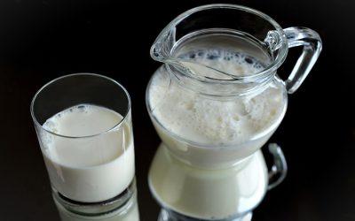 The truth about milk and why you should stop consuming it