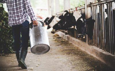 Midwest farmers dumping gallons of milk into sewers daily