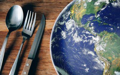 Ditch meat to preserve our planet, says study