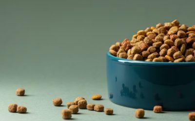 The future of pet food – from plant-based to cultivated meat