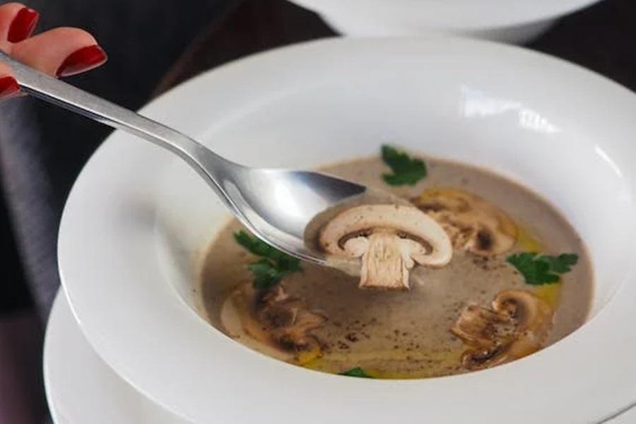 The miracle of mushrooms