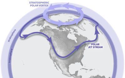 The stratospheric polar vortex and climate change