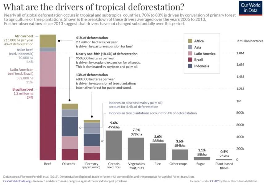 DeforestationStats