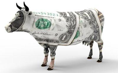 A meat tax could save the planet, says PETA