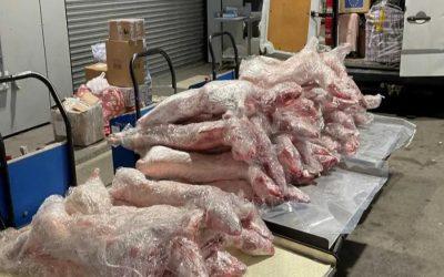 Illegal meat smuggled into UK could pose major health risks