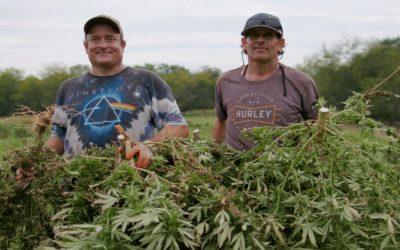 These farmers have swapped out livestock for plants