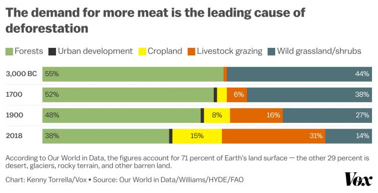 MeatDeforestationStats