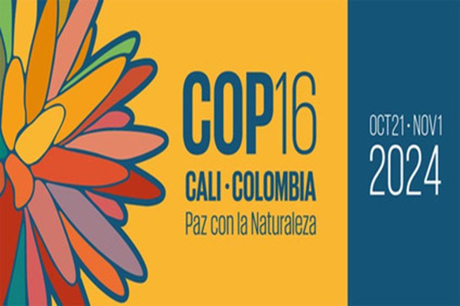 What will this year’s Biodiversity Conference (COP16) look like?