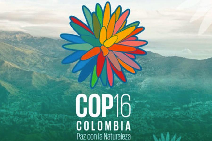 Cop16 ends with some breakthroughs, but key issues left unresolved