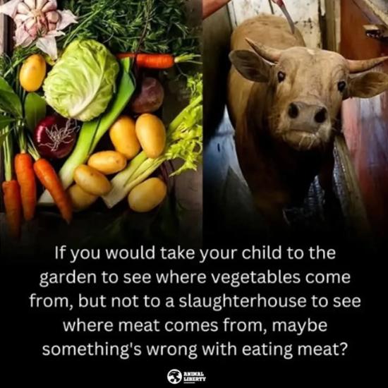 AACC GretaVegan