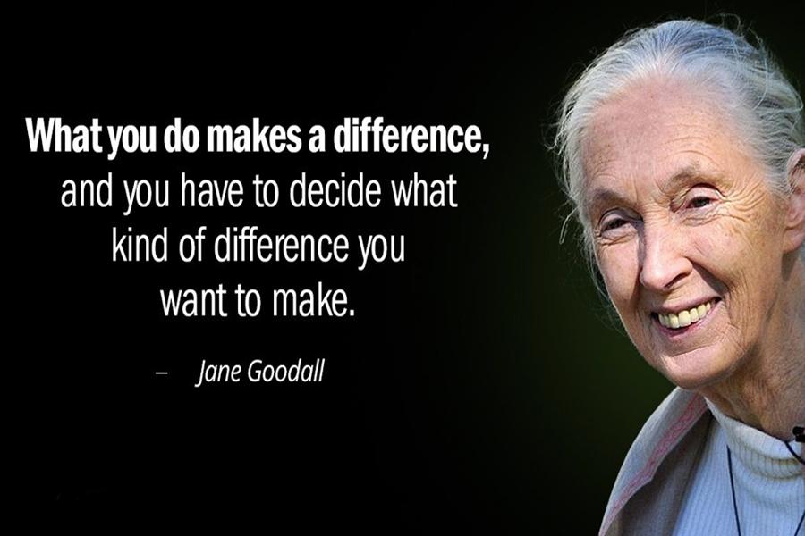 Join the #GoodAllDay Movement on Jane Goodall’s birthday