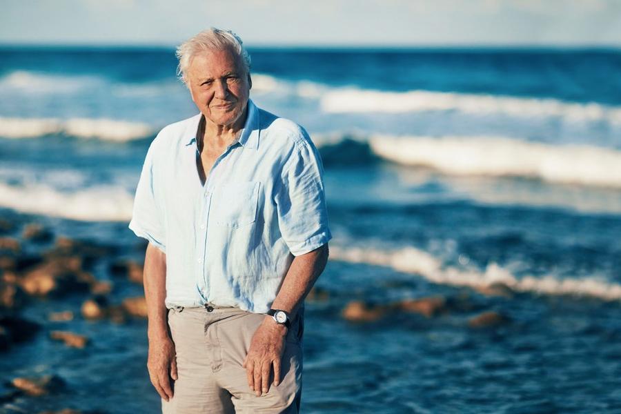 Sir David Attenborough delivers the 'greatest message he's ever told