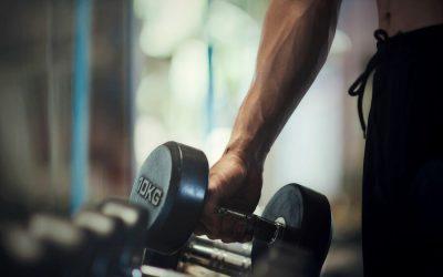 Plant-based protein builds muscle just as effectively as animal protein
