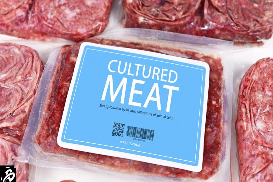 Cultivated meat is still a billion-dollar global opportunity