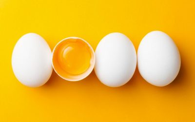 Why eggs can be hazardous to your health