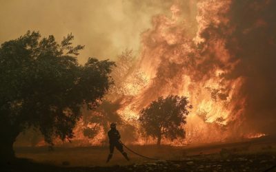 Spain’s wildfires are proof of global heating