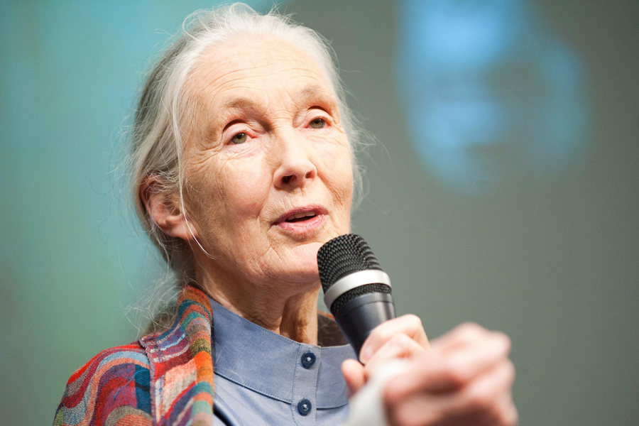 Dr Jane Goodall redefined compassion on a global scale