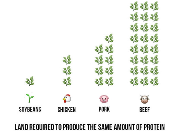 LandNeededProtein