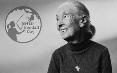 Ways to honour Dr Jane Goodall on Jane Goodall Day