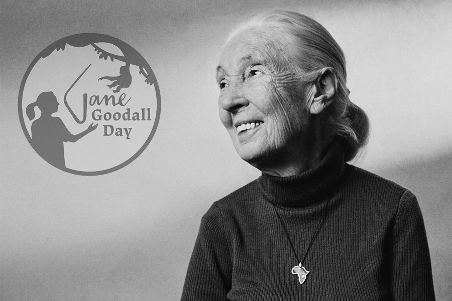 AACC JaneGoodallDay
