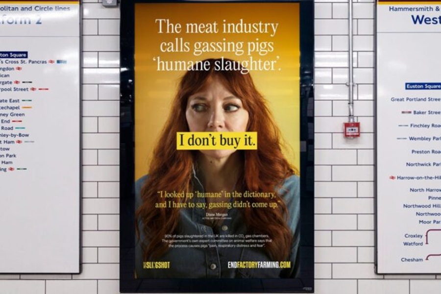 vegan tube ad aacc