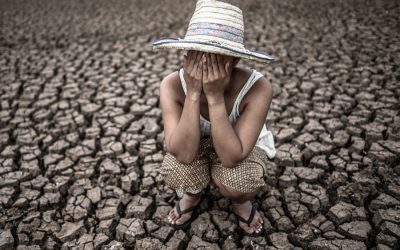 Experts tell WHO to declare climate crisis a global public emergency