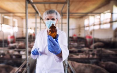 The use of antibiotics on livestock to rise by almost a third in the next 15 years