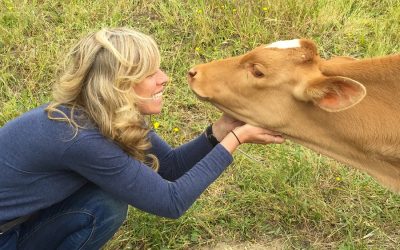 Why being an imperfect vegan is better than doing nothing