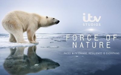New documentary series, Force of Nature, is a story of resilience