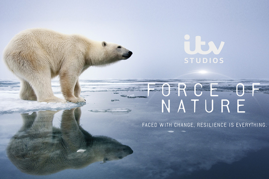 AACC ForceOfNature