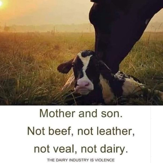 Dairy_MotherSon AACC GretaVegan