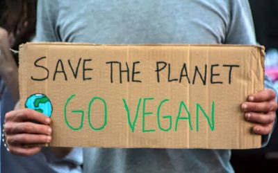 Why veganism needs to get political