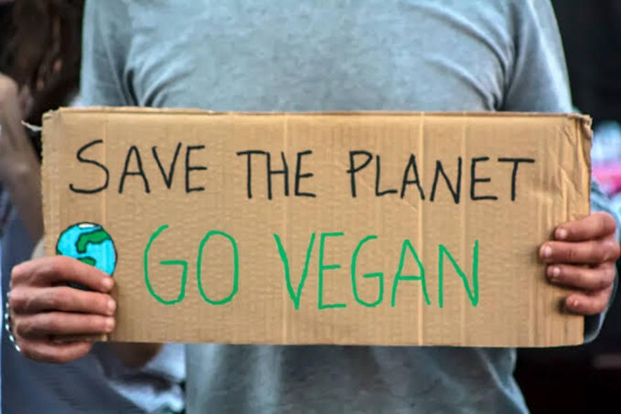 save the planet aacc