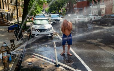 Deadly US heatwaves claims dozens of lives