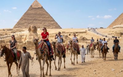 Egypt phasing out camel and horse rides at Pyramids of Giza