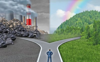 Diet change is the best way to reduce your carbon footprint