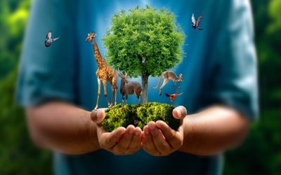 How forensic science is turning the tables on poachers and wildlife traffickers