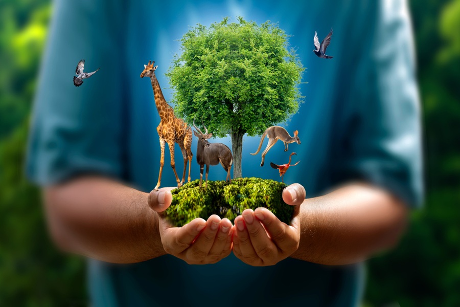 conservation aacc